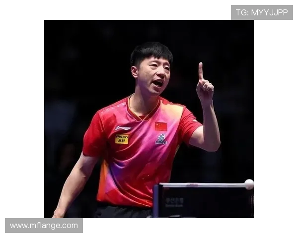 深圳乒乓球队个人能力排名创新高引发广泛关注与热议