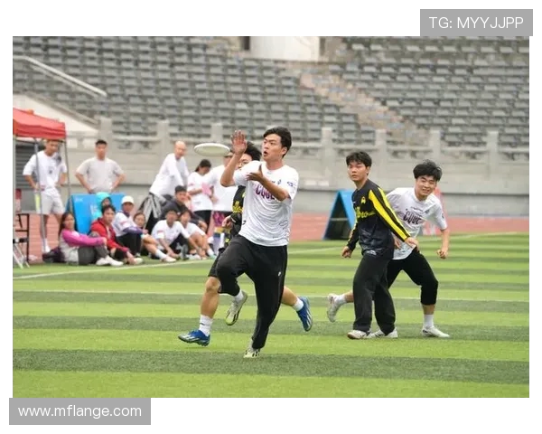 重庆飞盘队的节奏对比解析与战术优势探讨