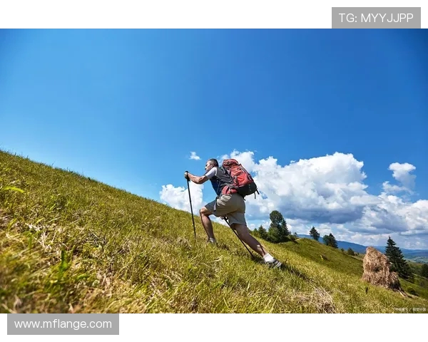 王军独家分享飞盘技巧与心得体会助你轻松掌握这项运动的乐趣与魅力