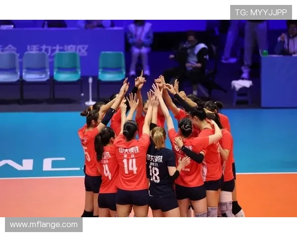 南京排球队实力强劲荣登全国排球力量排行榜第五名